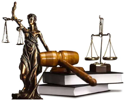 Taşınmaz ve Kadastro Hukuku